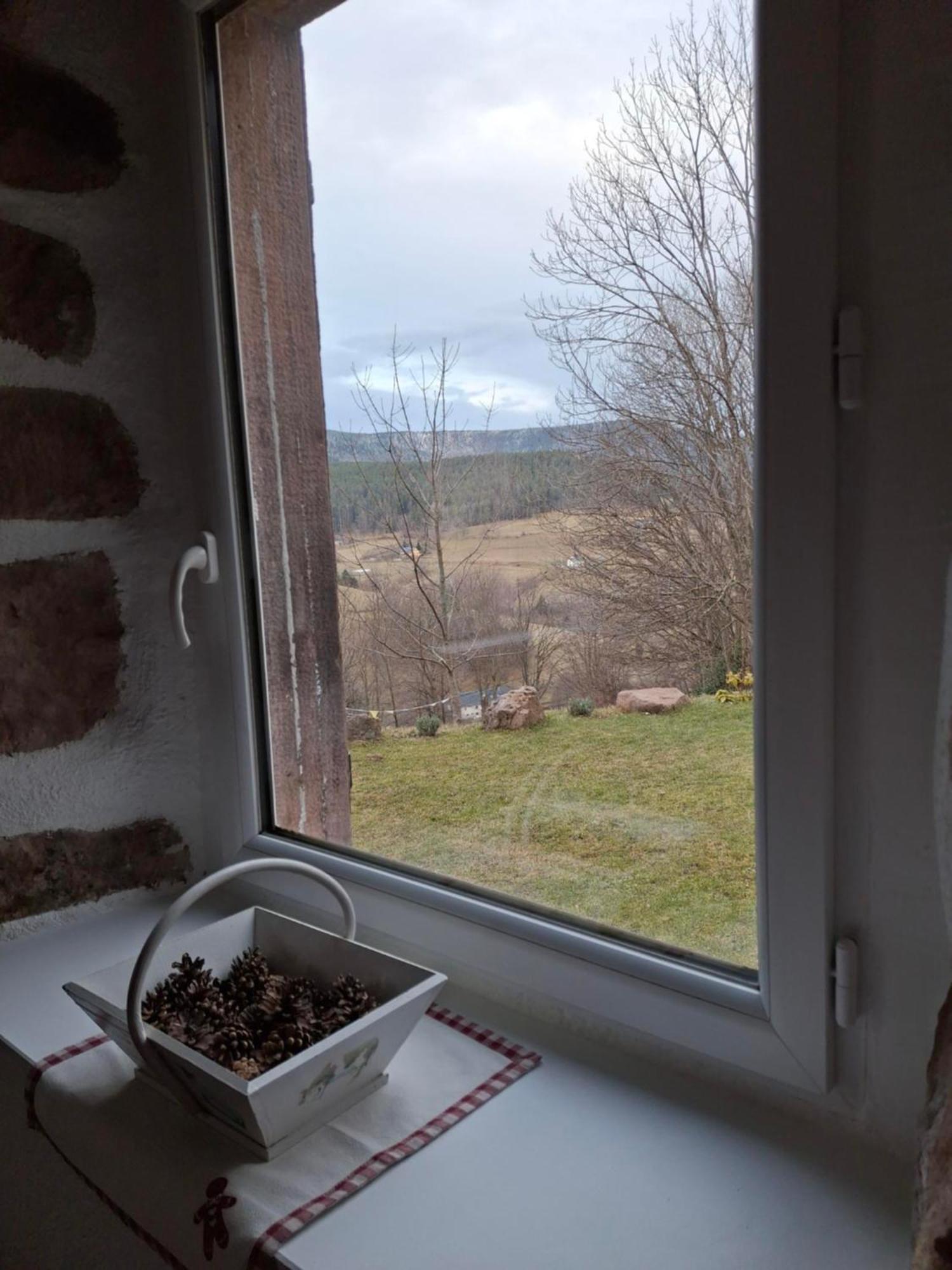 Nordiques De La Welche Holiday home Orbey